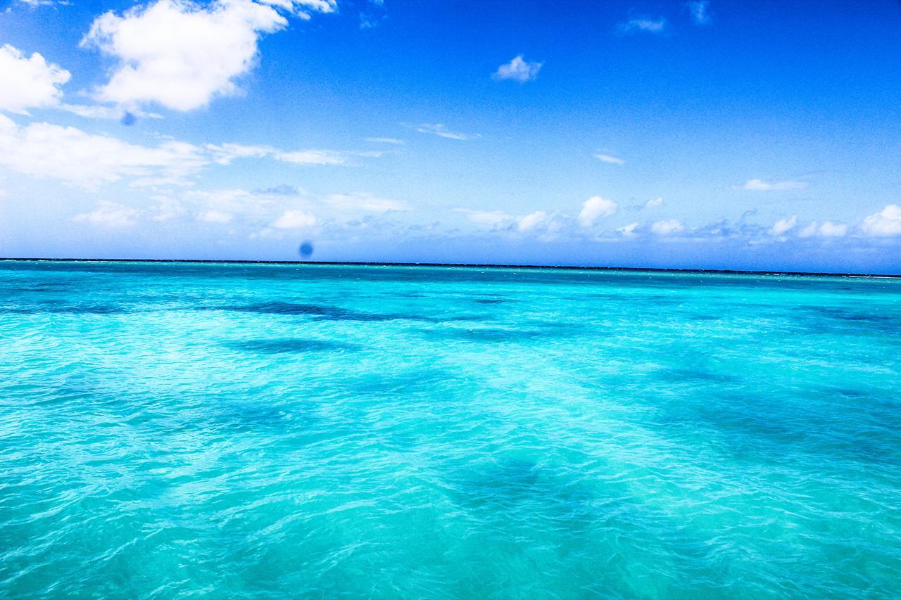Seagarden Beach Resort Montego Bay Kültér fotó